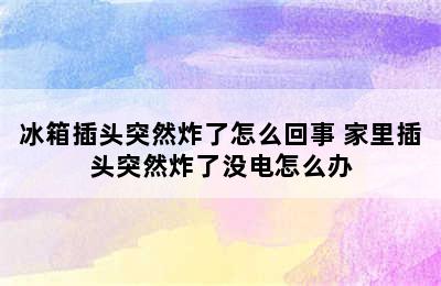 冰箱插头突然炸了怎么回事 家里插头突然炸了没电怎么办